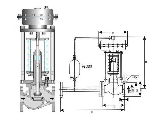 自力式蒸汽菠萝视频下载APP网址安装结构图